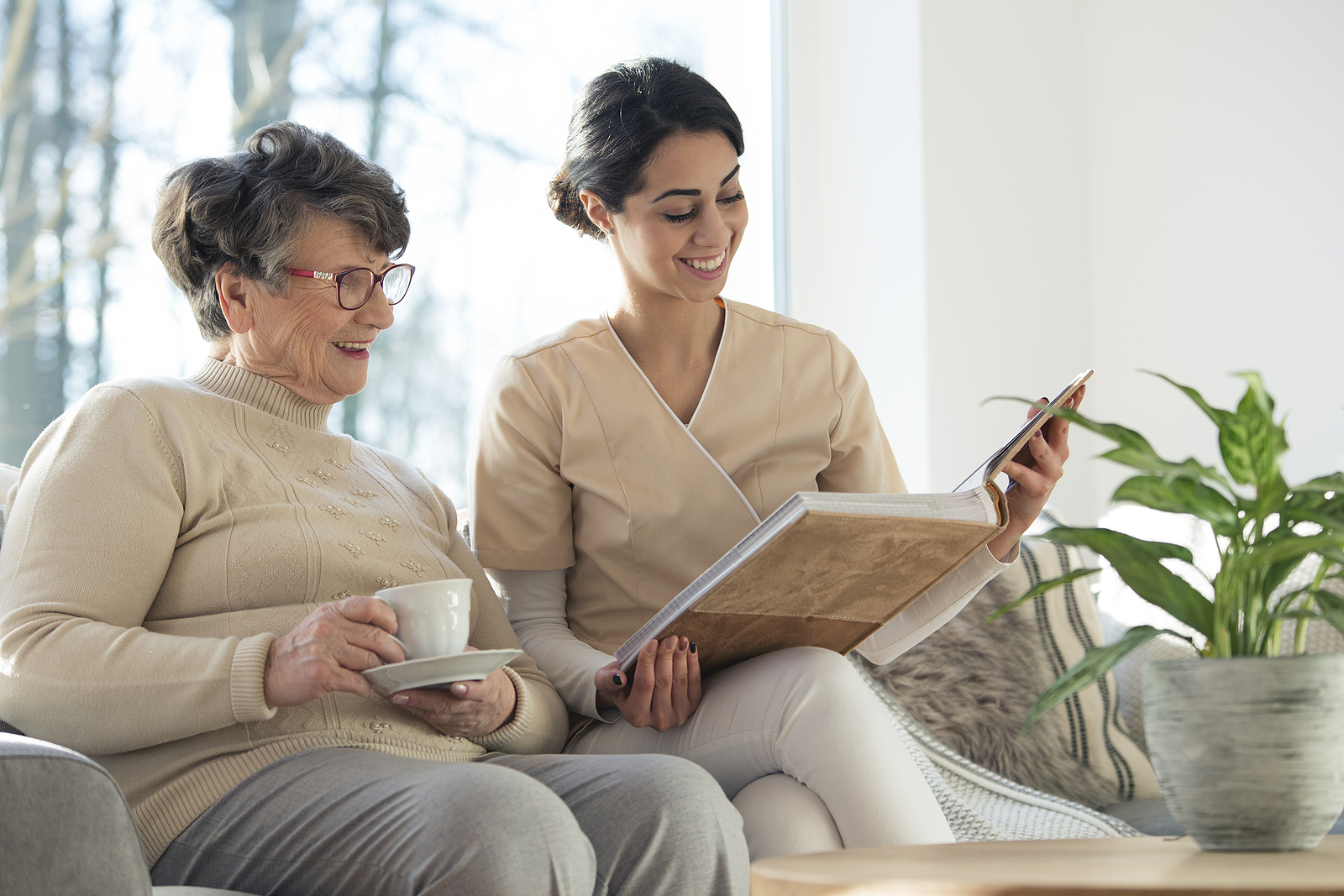 What Is Companion Care and Why Do Seniors Need It?